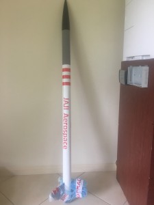 Payload assembled into Rocket